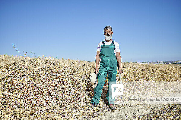 Male farm worker standing with hat and hoe at wheat field during sunny day