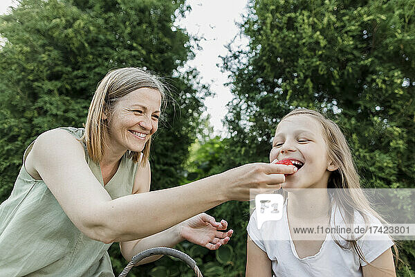 Smiling mother feeding strawberry to daughter in backyard