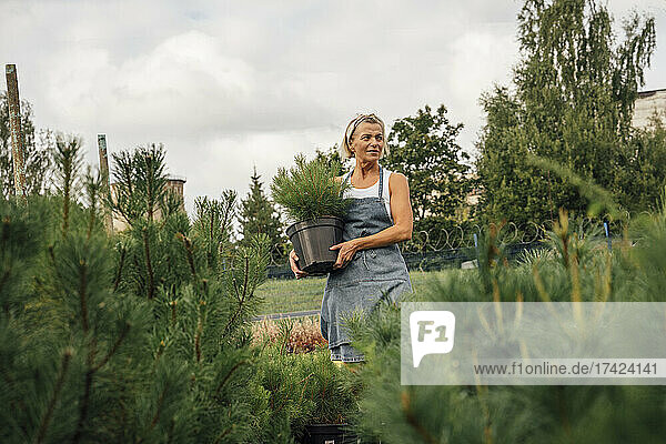 Female agricultural worker carrying potted plant while standing at nursery