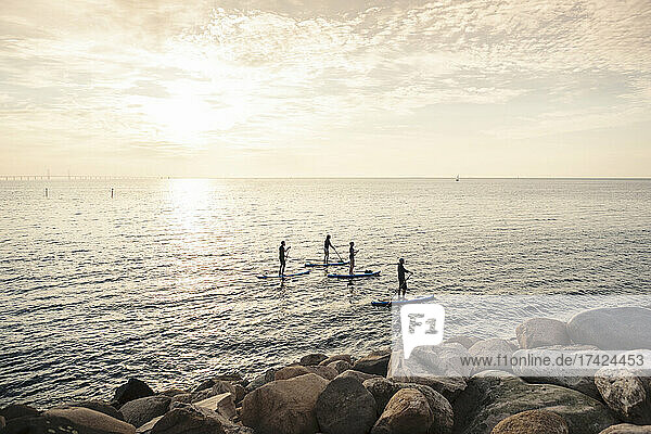 Hohe Winkel Ansicht der Männer und Frauen Rudern Paddleboard im Meer während des Sonnenuntergangs