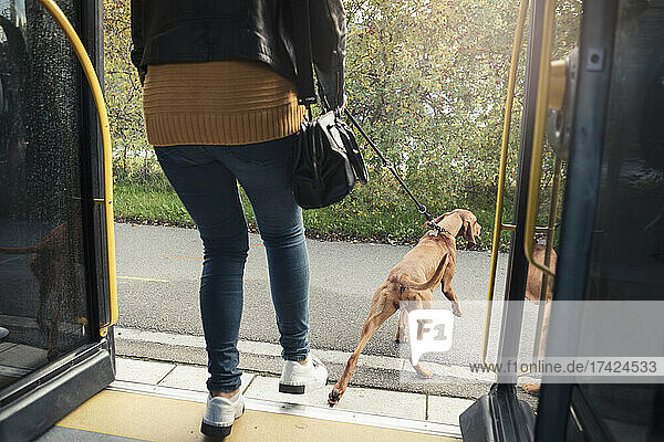 Tiefschnitt einer jungen Frau  die mit ihrem Hund aus dem Zug aussteigt