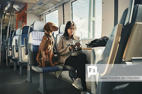 Junge weibliche Passagierin benutzt ein Mobiltelefon  während sie mit ihrem Hund im Zug unterwegs ist