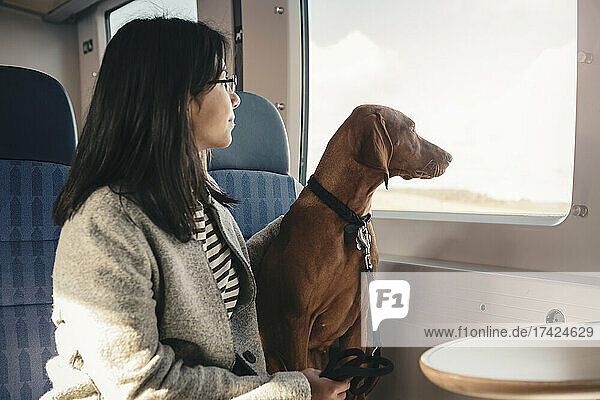 Seitenansicht einer jungen Frau und eines Hundes  die durch ein Fenster schauen  während sie im Zug reisen