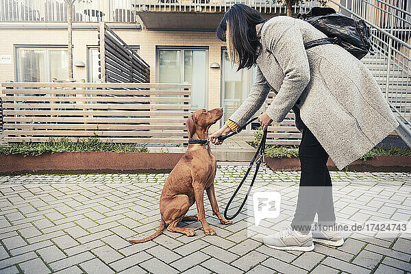Seitenansicht einer Frau mit Rucksack  die die Leine eines Hundes auf einem Fußweg einstellt