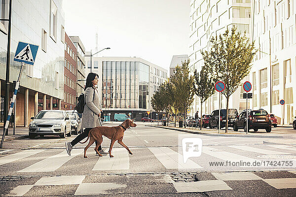 Junge Frau mit Rucksack überquert Straße mit Hund in der Stadt