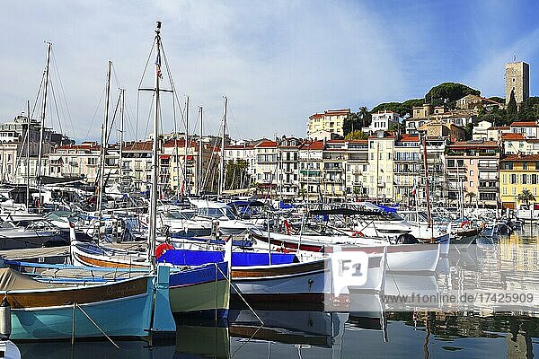 Hafen und Altstadt von Cannes  Côte d?Azur  Provence-Alpes-Côte d?Azur  Südfrankreich  Frankreich  Europa