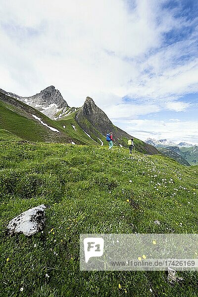 Zwei Wanderer auf einem Wanderweg  hinten Berge  Heilbronner Weg  Allgäuer Alpen  Oberstdorf  Bayern  Deutschland  Europa