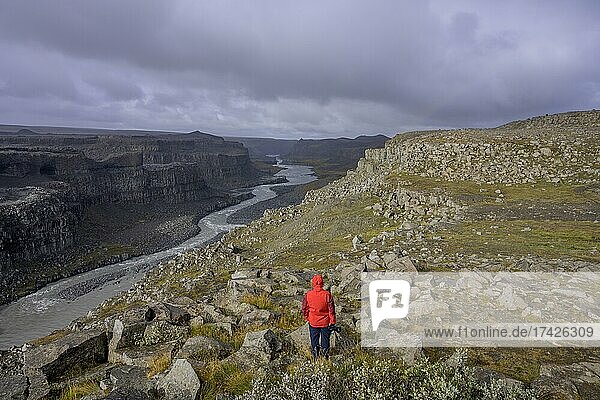 Person in rotem Anorak blickt zum Canyon der Jökulsá Á Fjöllum  Asbyrgi NP  Norðurland eystra  Island  Europa