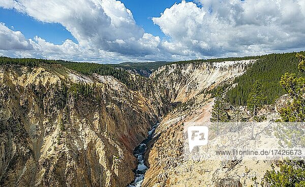 Yellowstone River fließt durch Schlucht  Grand Canyon of the Yellowstone  Grand View  Yellowstone National Park  Wyoming  USA  Nordamerika
