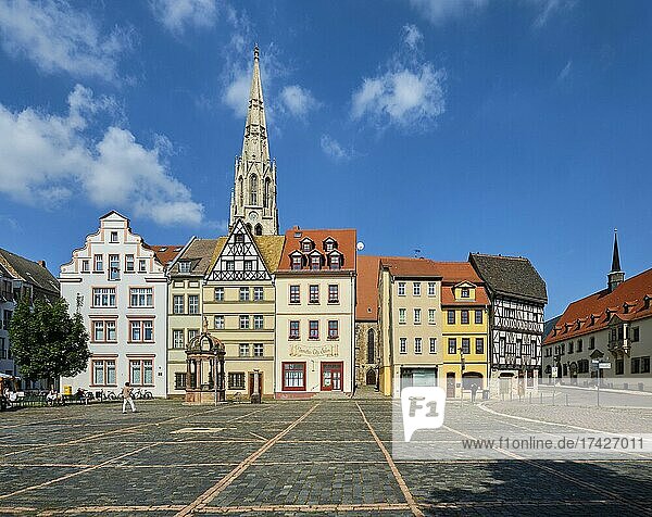 Marktplatz mit Stadtkirche St. Maximi  Merseburg  Sachsen-Anhalt  Deutschland  Europa