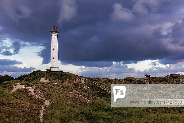 Lyngvig Lighthouse  Hvide Sande  Denmark  Europe