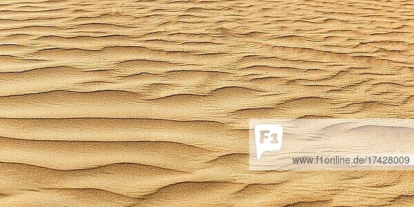 Wüste Sand Panorama in Dubai  Vereinigte Arabische Emirate  Asien
