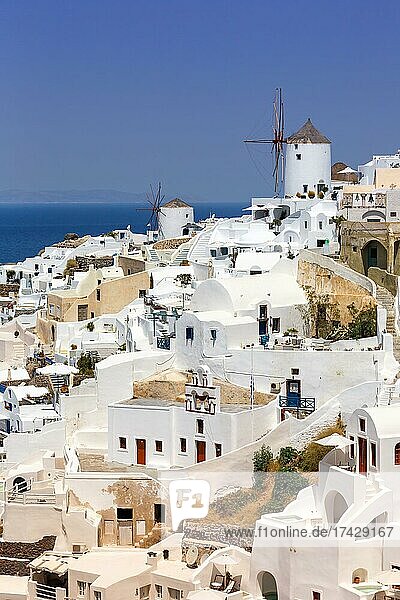 Insel Santorini Ferien Reise reisen Stadt Oia am Mittelmeer mit Windmühlen in Santorin  Griechenland  Europa