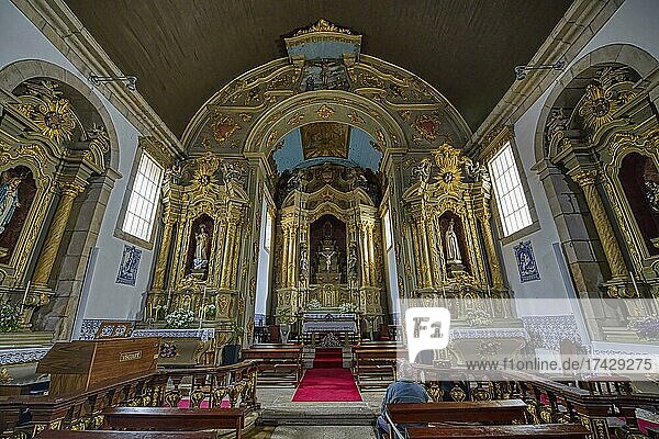 Kirche St. Peter oder Sao Pedro Igreja  Innenbereich  Gouveia  Bezirk Castelo Branco  Beira  Portugal  Europa