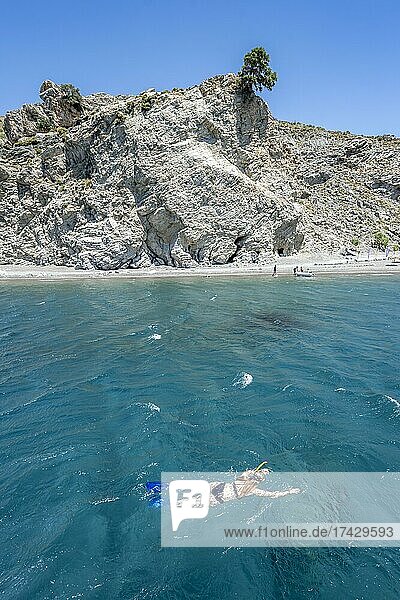 Woman snorkelling in the water  Empros Therme beach  Kos  Dodecanese  Greece  Europe