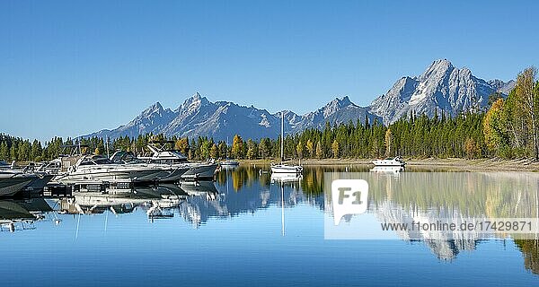 Mountains reflected in the lake  Jackson Lake  sailboats and motorboats in a bay  Colter Bay in autumn  Teton Range mountain range  Grand Teton National Park  Wyoming  USA  North America
