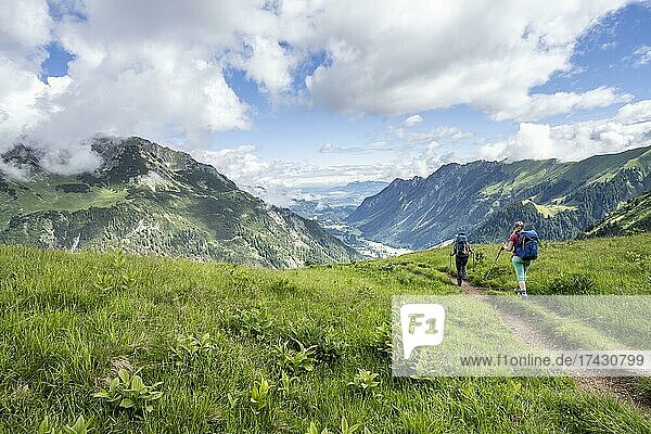 Zwei Wanderer auf einem Wanderweg  hinten Berge  Heilbronner Weg  Allgäuer Alpen  Oberstdorf  Bayern  Deutschland  Europa