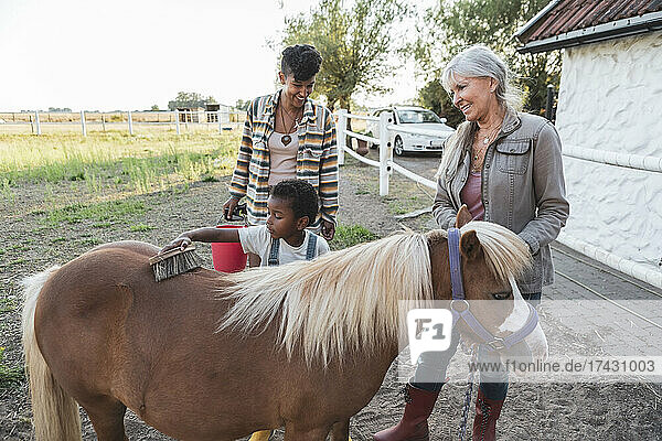 Junge bürstet Pferd  während er mit Großmutter und Mutter auf dem Bauernhof steht