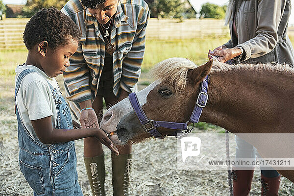 Junge füttert Pferd mit Mutter und Großmutter auf dem Bauernhof