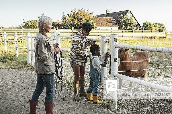 Junge berührt Pony  während er mit Mutter und Großmutter auf dem Bauernhof steht