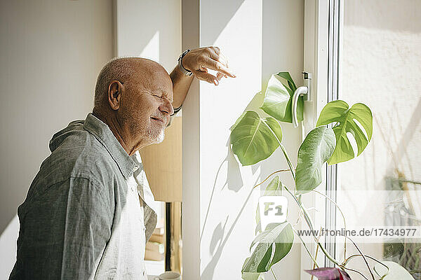 Lächelnder älterer Mann steht mit geschlossenen Augen im Sonnenlicht am Fenster zu Hause