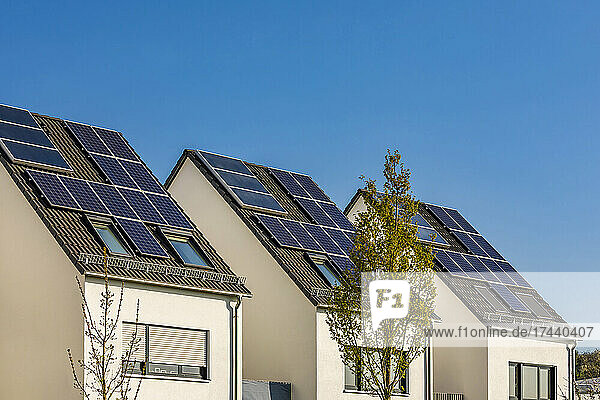 Germany  Baden-Wurttemberg  Waiblingen  Row of modern energy efficient suburban houses