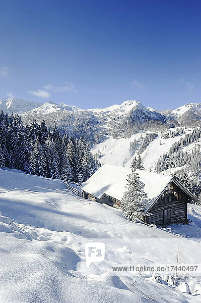 Scenic mountains and alms on snow during winter in Salzburger Land  Austria