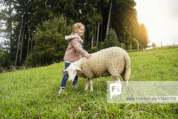 Smiling cute girl standing with sheep in green farm