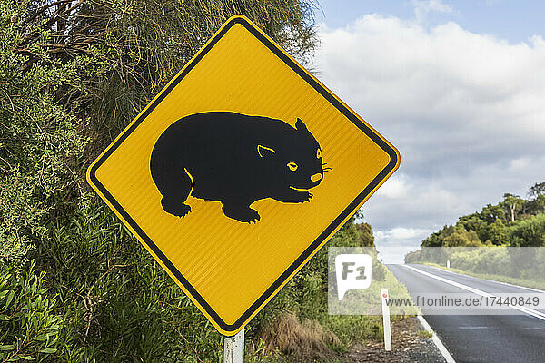 Wombat crossing sign standing beside asphalt road
