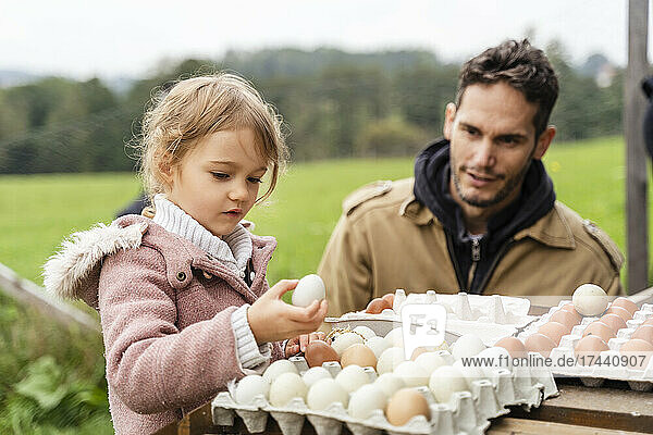 Cute girl holding egg over container in organic farm