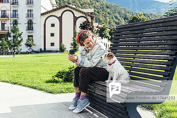 Smiling woman looking at Jack Russell Terrier while sitting on bench at park