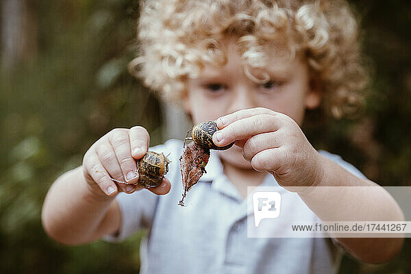Curious boy holding snails in forest