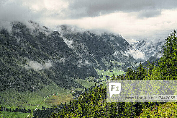 Low clouds over green valley in High Tauern National Park