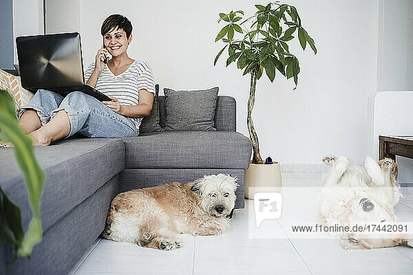 Businesswoman talking on smart phone while dogs playing at home