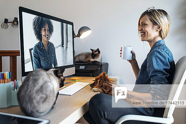 Smiling female influencer discussing with woman while stroking dog at home