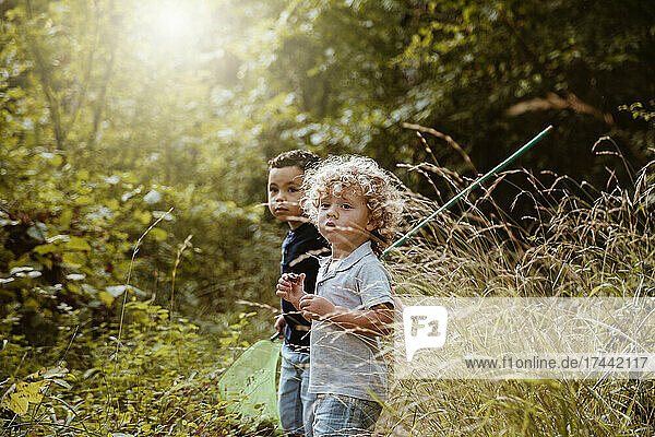 Boys standing together in forest during sunny day