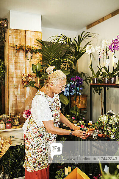 Blond female florist arranging plant on display rack in flower shop