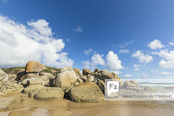 Boulders on sandy coastal beach in summer  Australia