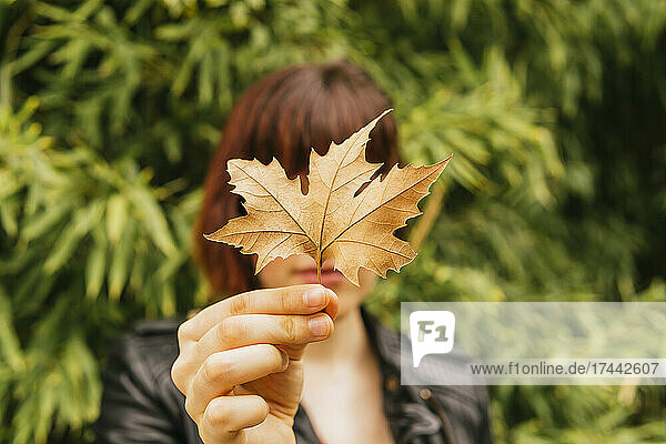 Woman holding autumn leaf in front of face