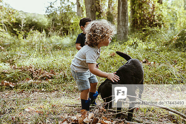 Boy with curly hair stroking dog in forest