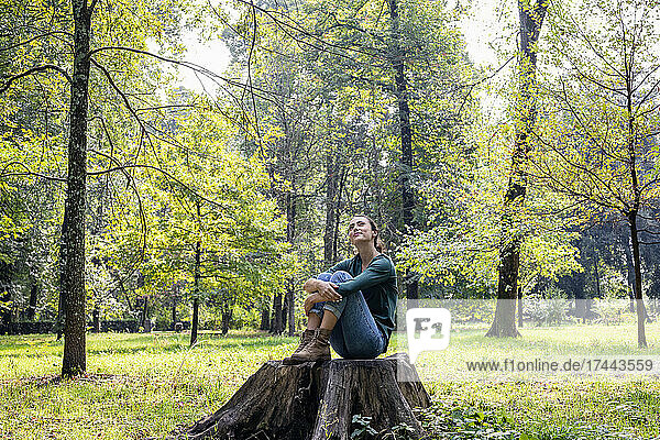 Thoughtful woman sitting in fetal position on tree stump