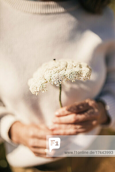 Woman holding white flower