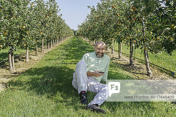 Smiling mature man using mobile phone at apple orchard