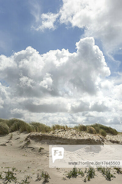 Summer clouds over beach dunes
