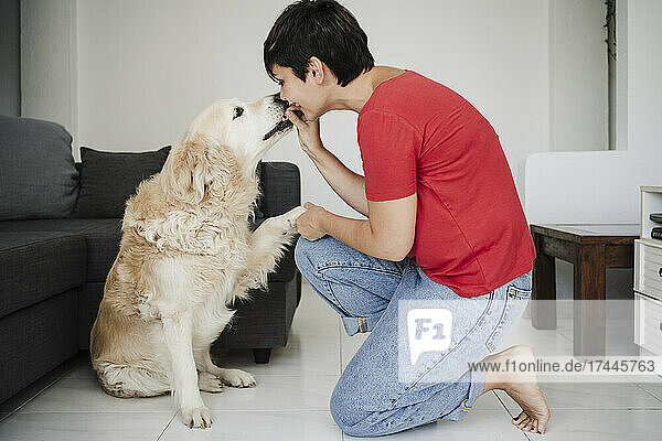 Female owner feeding dog while kneeling at home