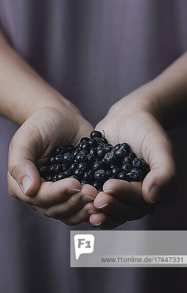 Woman with handful of freshly picked organic blueberries