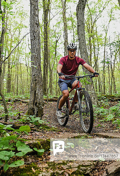 Man riding a mountain bike through forest trails on summer day.