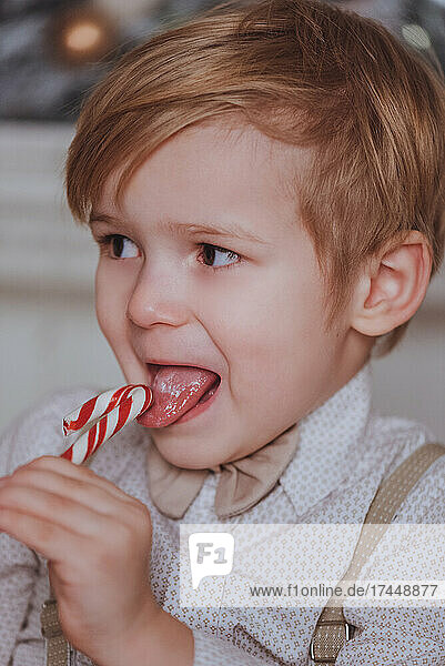 Cheerful cute boy eats candy under christmas tree.