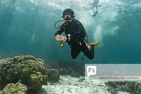 diver exploring the tropical waters around Phuket island