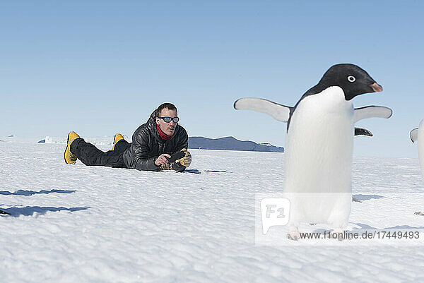 A man has a close encounter with an Adelie Penguin in Antarctica.